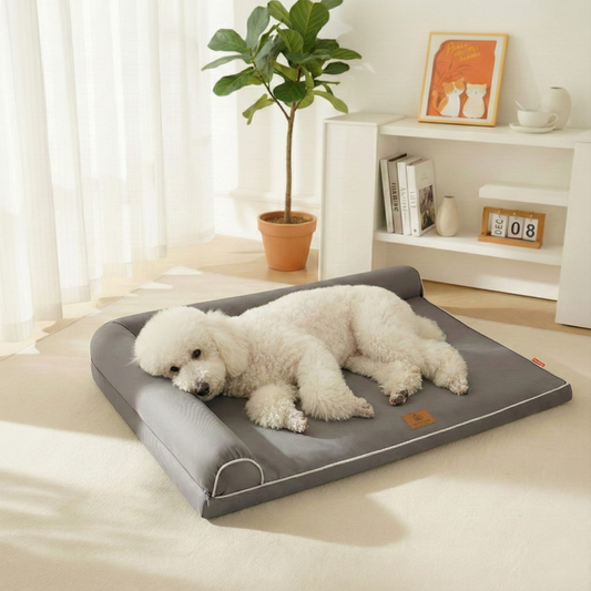Perro Puddle acostado descansando en cama gris de espuma y forro lavable